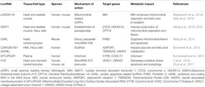 Novel Insights Linking lncRNAs and Metabolism With Implications for Cardiac Regeneration